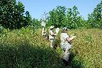 Citizen Scientists at Terra Vista
