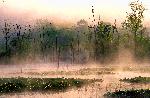 Beaver Marsh in morning mist