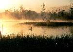 Beaver Marsh sunrise