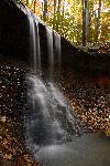 Blue Hen Falls among the leaves