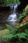 Blue Hen Falls in spring