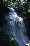 Brandywine Falls in summer