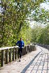 Beaver Marsh Boardwalk