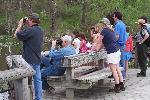 Birders at Beaver Marsh