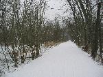 Towpath Trail in snow