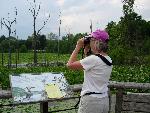 Citizen Scientist at Beaver Marsh