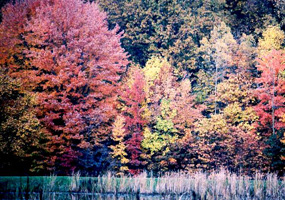 cv303_fall_sylvan_lake_J Catalano_285