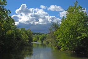 Cuyahoga River lined with deciduous trees along the banks under a partly cloudy summer sky.