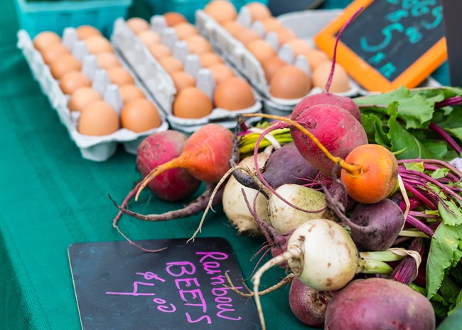 Bundles of white, purple and orange beets lie on a table in front of cartons of brown eggs.