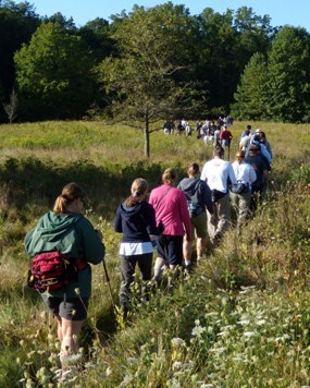 A large group of visitors hiking in a meadow