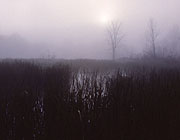 Early-morning fog rising over the Beaver Marsh nearly obscures the sun.