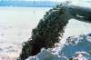 Pollution pouring from a dredge pipe
