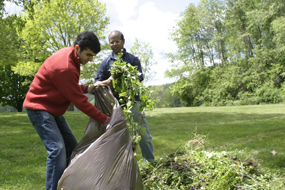 CVNP_Volunteer_Bagging_Garlic_Mustard2_Sara_Guren_285