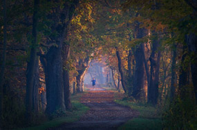 Runners of the Towpath Trail_Tom Jones