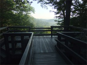 A wooded boardwalk ends in a rectangular platform overlooking a valley filled with green treetops.