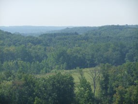 View of a valley from an elevated perspective; treetops fade from green to bluish in the distance.
