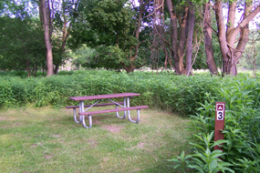 Primitive Camping Site