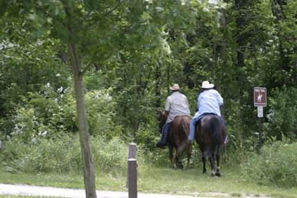 CVNP horseback riding on Towpath Sara Guren