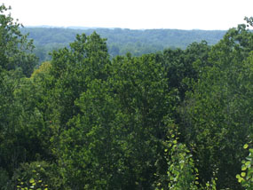 Old Carriage Overlook
