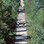 The Bike and Hike Trail follows the route of an abandoned railroad line.