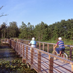 Bicyclists on the Towpath Trail over the beaver marsh.