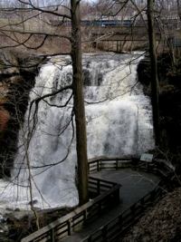 falls half day visit