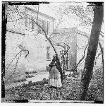 Portrait of a free woman