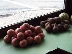 Replica fruit in grocery store