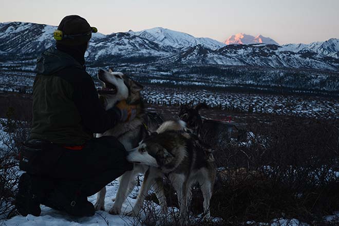 a person with two grey-colored huskies, looking out over a snowy forest and distant, snowy mountains