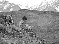 Jr. Ranger in Denali's wilderness
