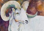 Wonders of Denali, David J. King, 2007. Materials: Watercolor
