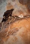 At Home in High Places, Karin Franzen, 2009. Materials: Fiber.