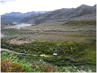 Historic East Fork Cabin