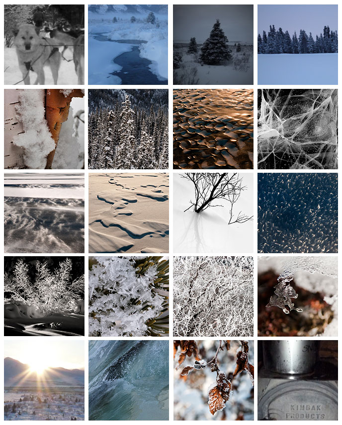 Twenty images of winter in Denali, showing snow-covered trees and bushes, sled dogs, lake and river ice, closeups of ice crystals, and a wood stove