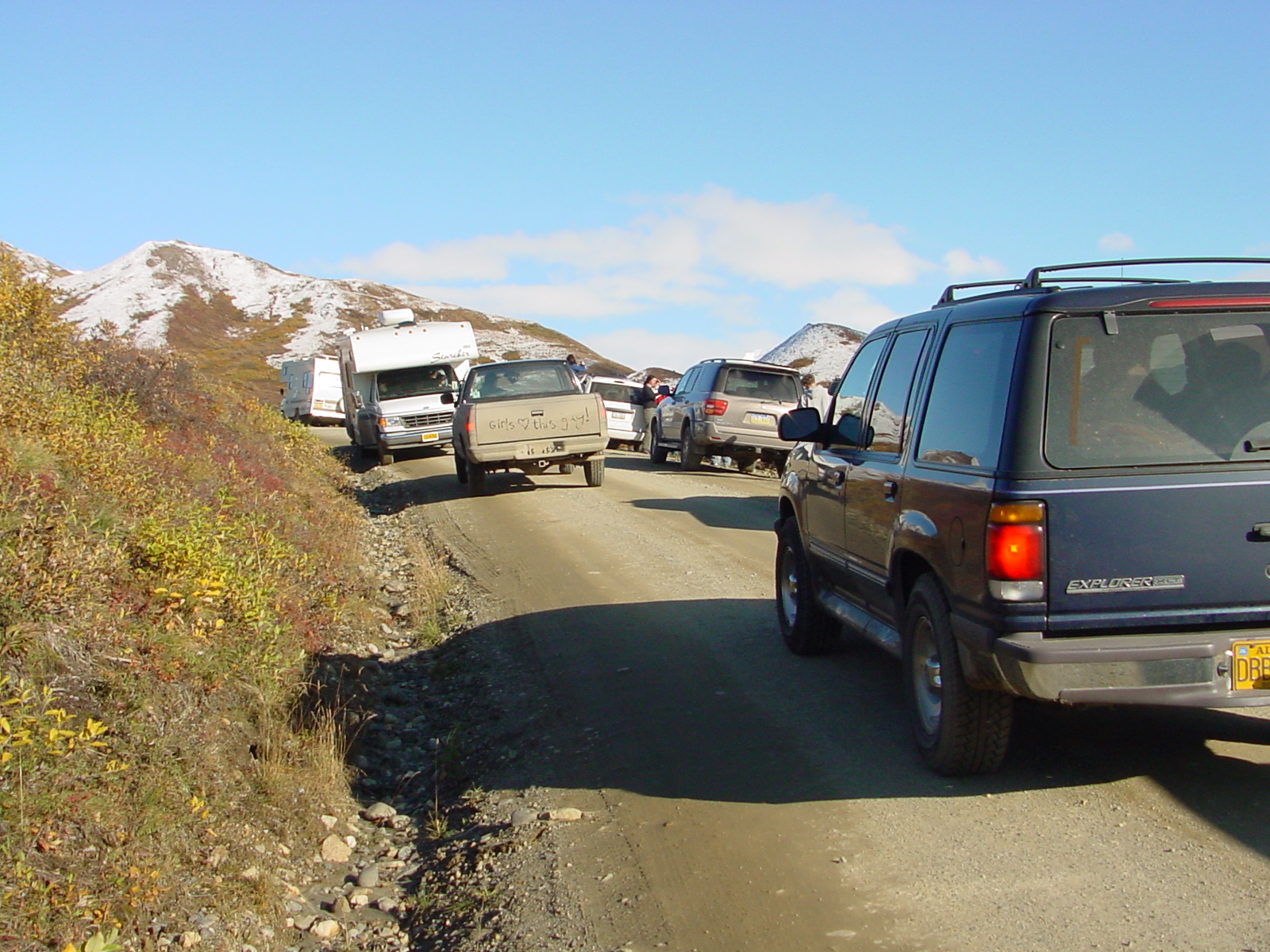 Road Lottery participants stopping to view wildlife
