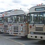 Image of buses lined up waiting to transport visitors of Denali National Park and Preserve