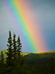 A rainbow - not an uncommon occurrence in Denali