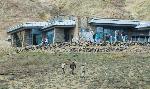 Eielson Visitor Center
