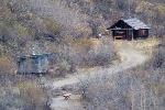 East Fork Cabin