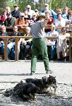 Ranger leads sled dog demonstration