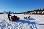 sled