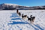 sled