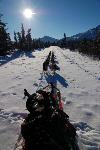 sled