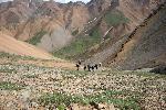 Hike