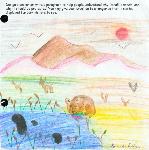 junior ranger artwork 15
