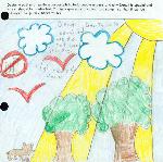 junior ranger artwork 18