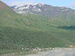 Toklat from above