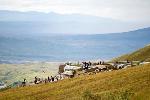 Eielson Visitor Center