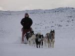 Follow the Leader