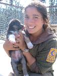Puppy Love